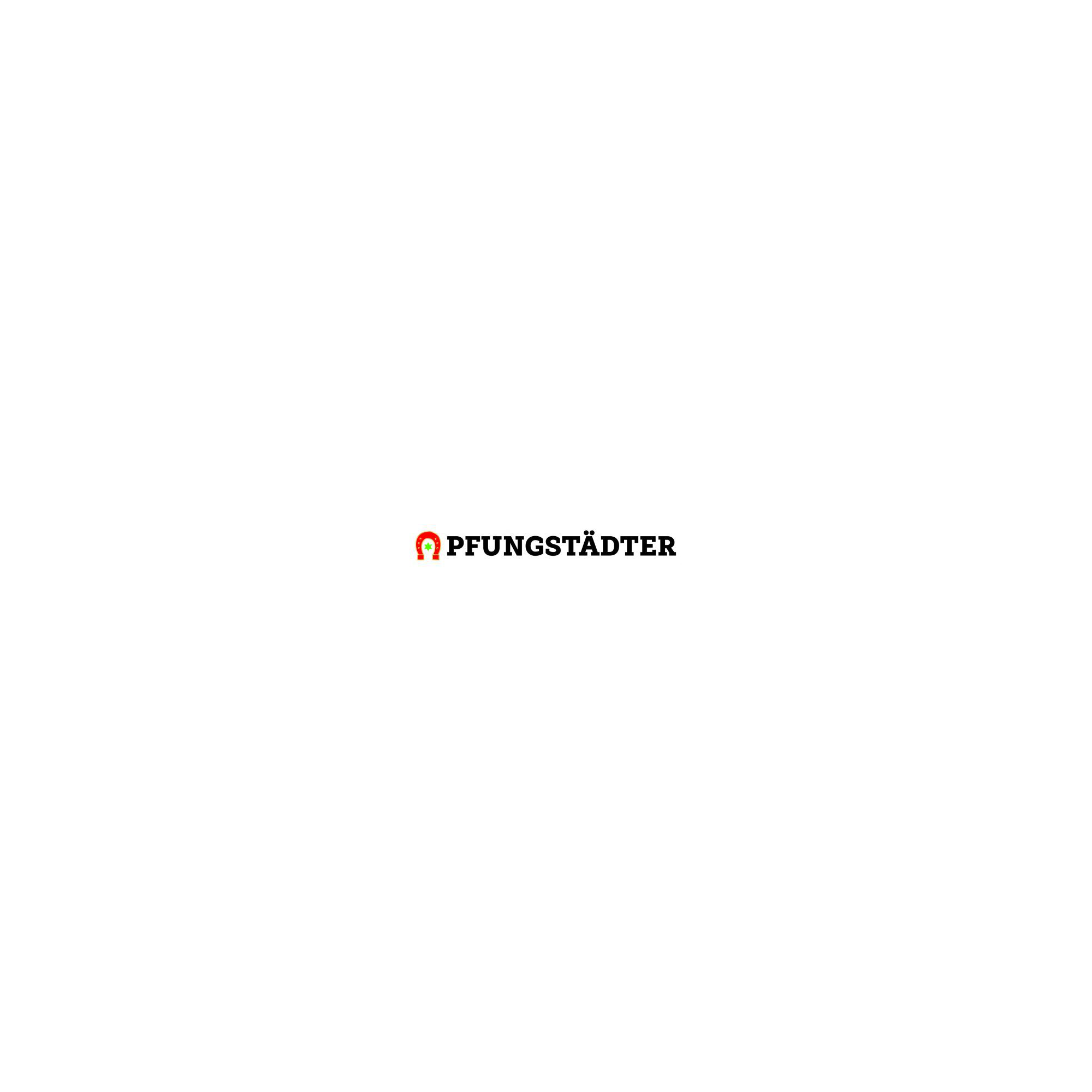 Pfungstädter - Logo - Langform - Hufeisen + Schriftzug - Typo schwarz - 4C